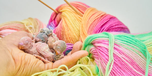 Stricken für Einsteiger