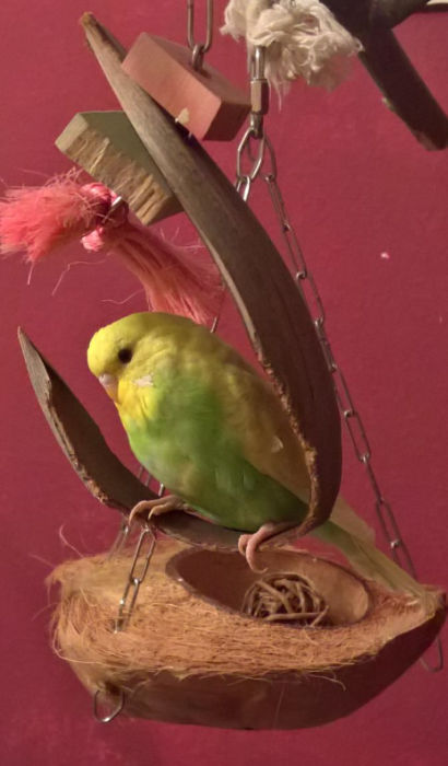 Sophie Bild 4