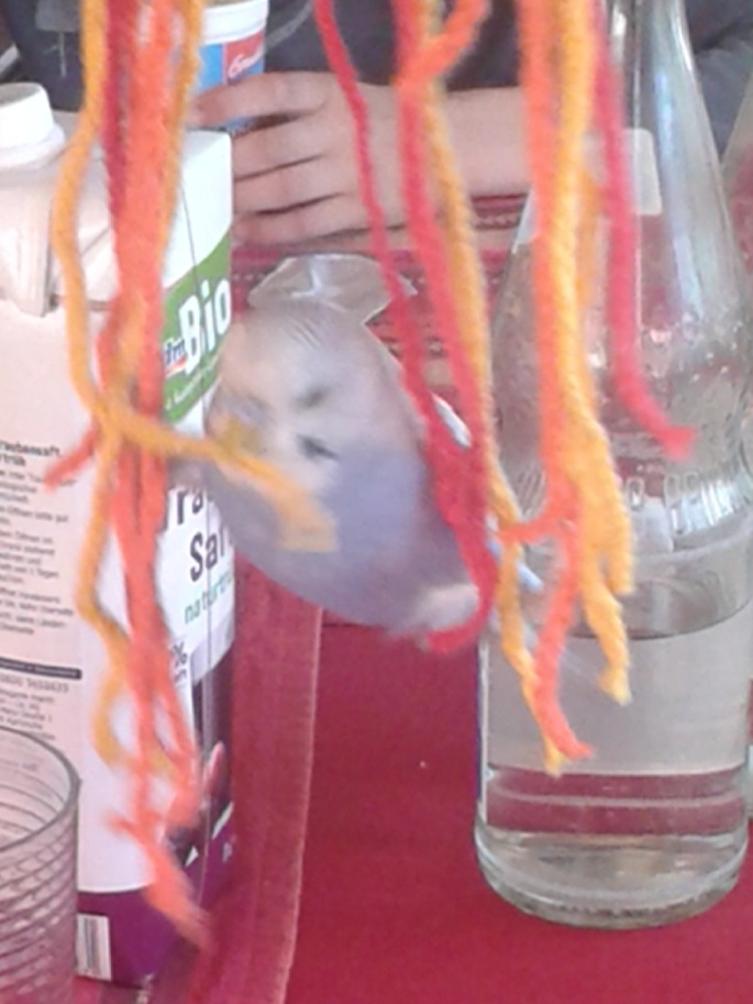 MaxiLeo10